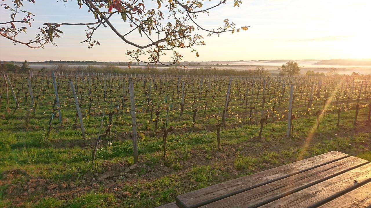 Weingut Familie Bauer Hotel Grossriedenthal Eksteriør billede